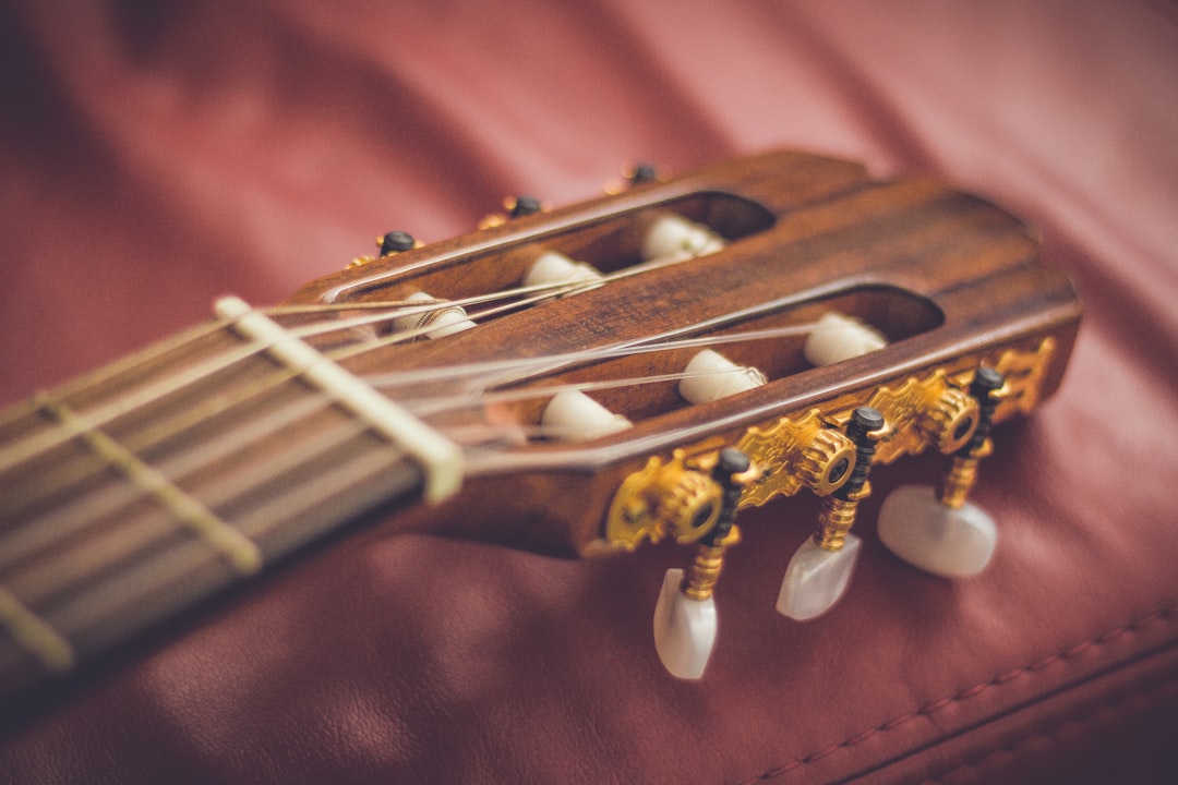 Photo guitar strings
